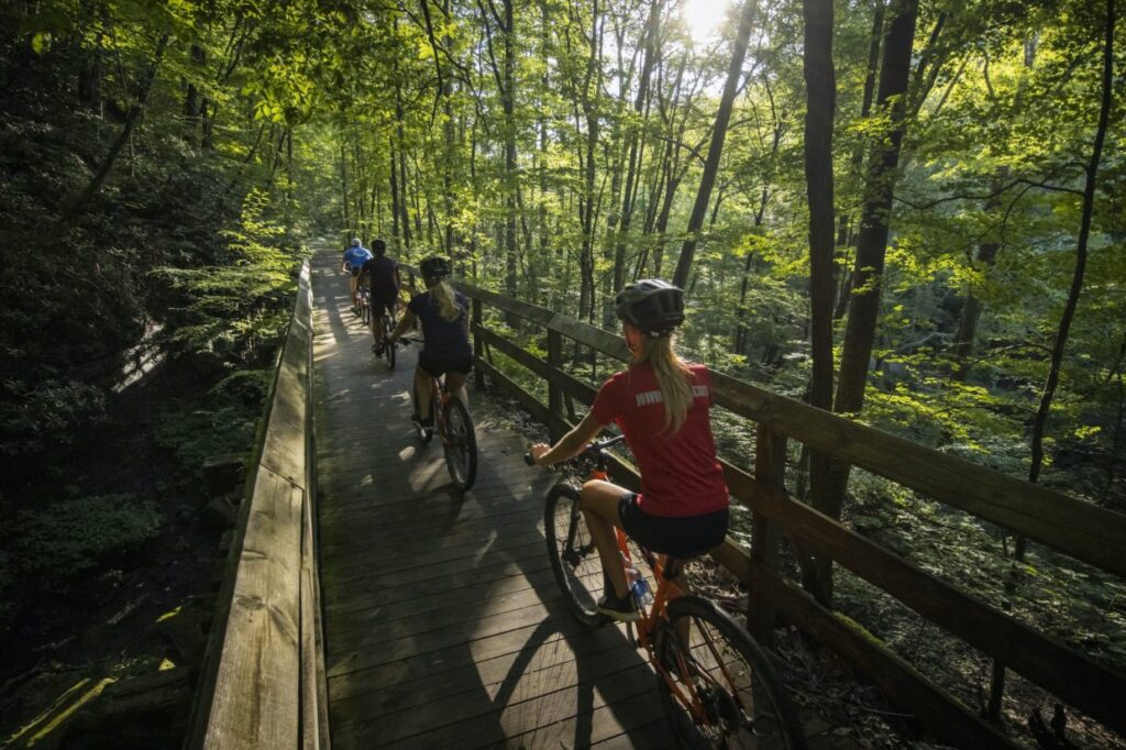 Mountain Biking in the New River Gorge: Trails, Views, and Adventure