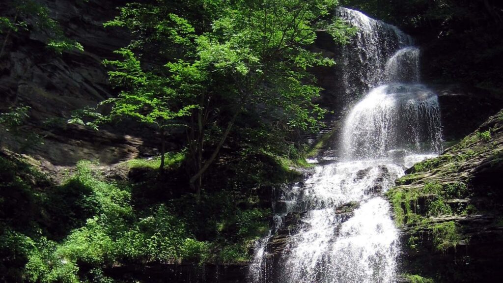 Best Waterfalls in the New River Gorge
